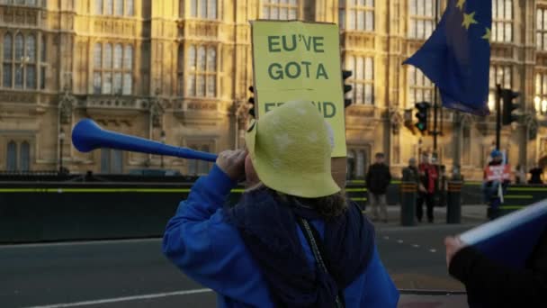 London Circa 2019 Close Shot Pro Remainers Demonstrating Flags Posters — Stock Video