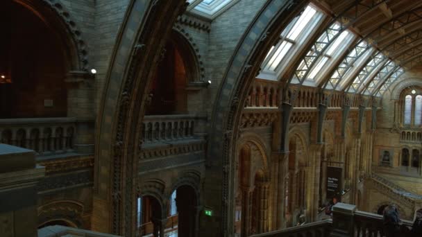 Natural History Museum, Londres, Inglaterra, Reino Unido — Vídeo de Stock