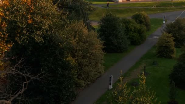 Temperate House, Kew Gardens, Londres, Reino Unido — Vídeo de Stock