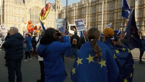 Brexit - Pro-Eu anhängare i Westminster, London — Stockvideo