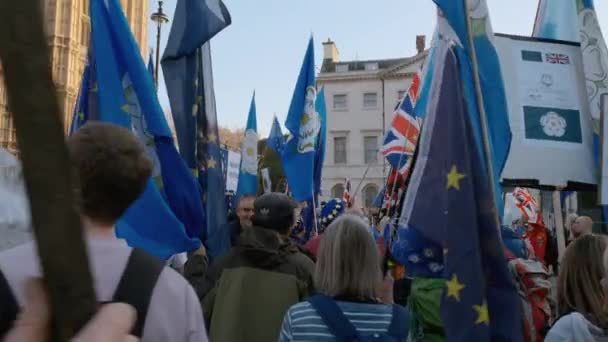 BREXIT - Sostenitori pro-UE a Westminster, Londra — Video Stock