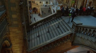 Doğal Tarih Müzesi, Londra, İngiltere, Birleşik Krallık