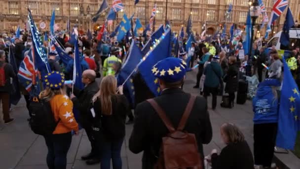 Brexit - Pro-Eu anhängare i Westminster, London — Stockvideo