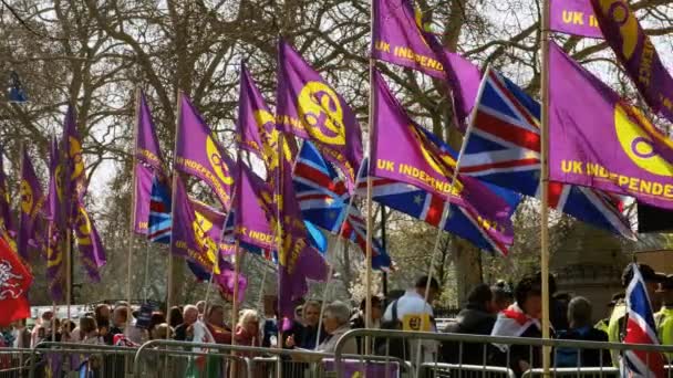 Demonstração dos apoiantes do BREXIT, Westminster, Londres — Vídeo de Stock