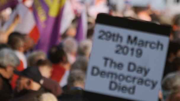 Demonstrace Brexit příznivců, Westminster, Londýn — Stock video