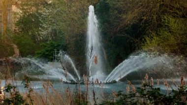 Güzel parkta büyük su Çeşmesi