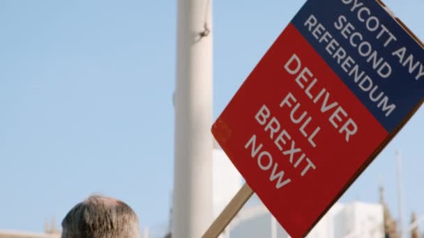 Demonstration of BREXIT supporters, Westminster, London — Stock Video