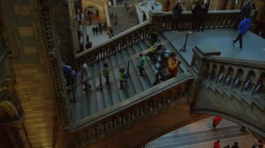 Doğal Tarih Müzesi, Londra, İngiltere, Birleşik Krallık