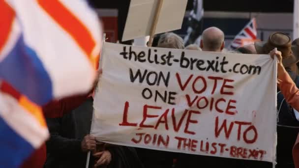 Demonstracja kibiców Brexit, Westminster, Londyn — Wideo stockowe