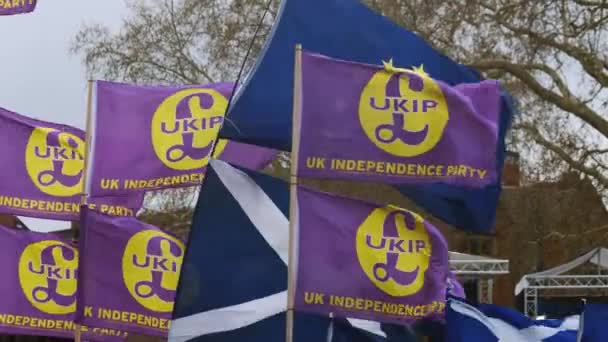 EU and UKIP Flags Waving in Slow Motion — Vídeo de Stock