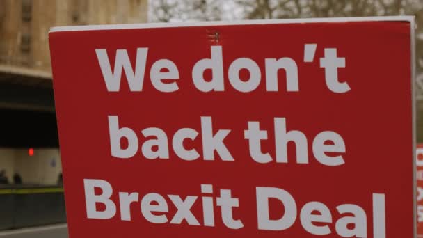 BREXIT - Apoiantes pró-UE em Westminster, Londres — Vídeo de Stock