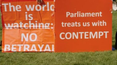 Brexit taraftarlarının gösterimi, Westminster, Londra