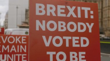 Brexit - Pro-AB destekçileri Westminster, Londra