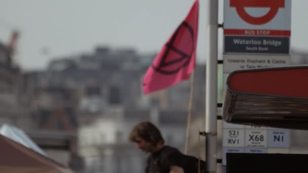 Climate Change Extinction Rebellion Demonstration in London, UK — Stock Video