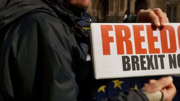 Manifestazione dei sostenitori di BREXIT, Westminster, Londra — Video Stock