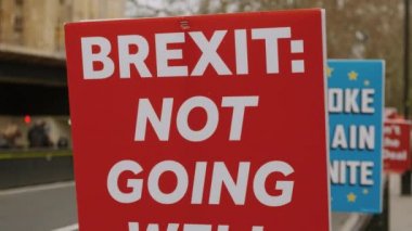 Brexit - Pro-AB destekçileri Westminster, Londra