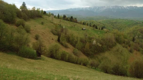 Hermoso paisaje pastoral — Vídeos de Stock