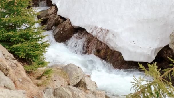 Hermoso paisaje alpino — Vídeos de Stock