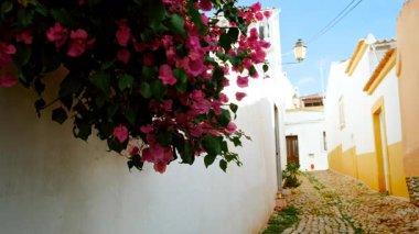 Whitewashed Houses in the Old Town of Loule, Loule, The Algarve, Portugal, line narrow cobblestone streets with tiled roofs, modest courtyards, and wrought iron balconies