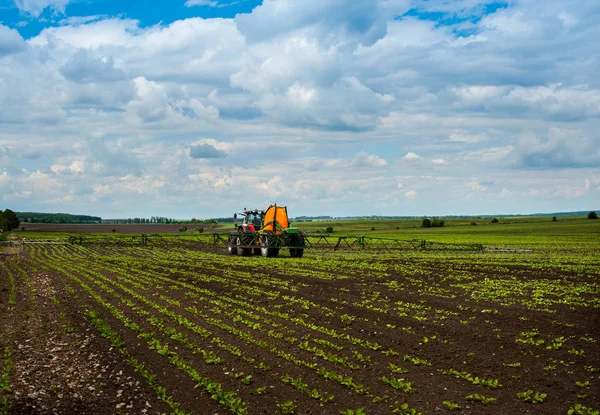 Mezőgazdasági Hills Táj Traktor Permetezés Cukorrépa Mező — Stock Fotó