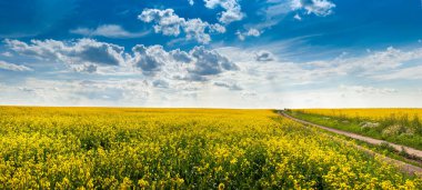Toprak yol alanları tecavüz çiçek gökyüzü altında
