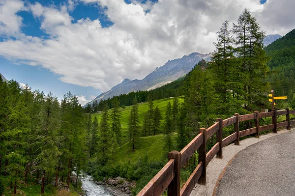 Альпийский Пейзаж Рекой Дорожным Забором — стоковое фото