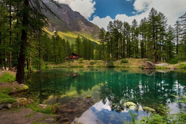 Озеро Фейн Сосновом Лесу Местечке Ремс Нотр Дам Вадаоста Италия — стоковое фото
