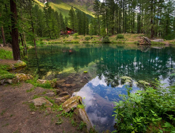 Rhemes 圣母院松树林中的高山湖泊 位于意大利的山谷 Daosta — 图库照片