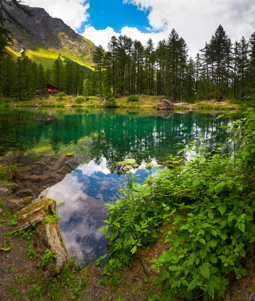 Bergsee Einem Kiefernwald Rhemes Notre Dame Valle Daosta Italien — Stockfoto