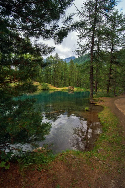 Lago Alpino Bosque Pinos Rhemes Notre Dame Valle Daosta Italia —  Fotos de Stock