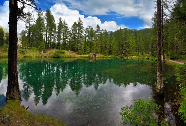 Bergsee Einem Kiefernwald Rhemes Notre Dame Valle Daosta Italien — Stockfoto