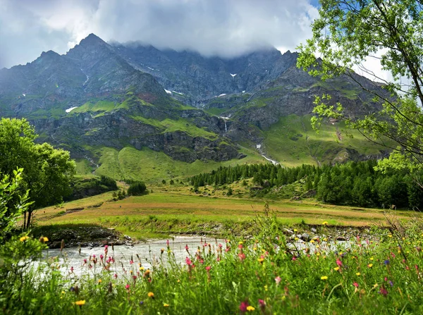 Hintergrund Der Alpinen Berge Mit Bunten Blumen Gegen — Stockfoto