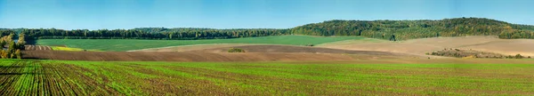 Панорамний Вигляд Кольорових Ліній Полів — стокове фото
