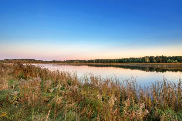 Sjön Vid Blå Lila Solnedgången Sommartid Med Vegetation Kusten — Stockfoto