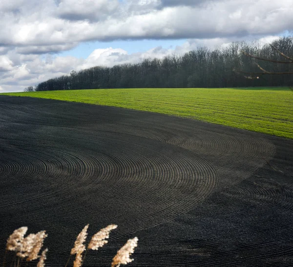 Узоры на пахотной почве на весеннем поле — стоковое фото