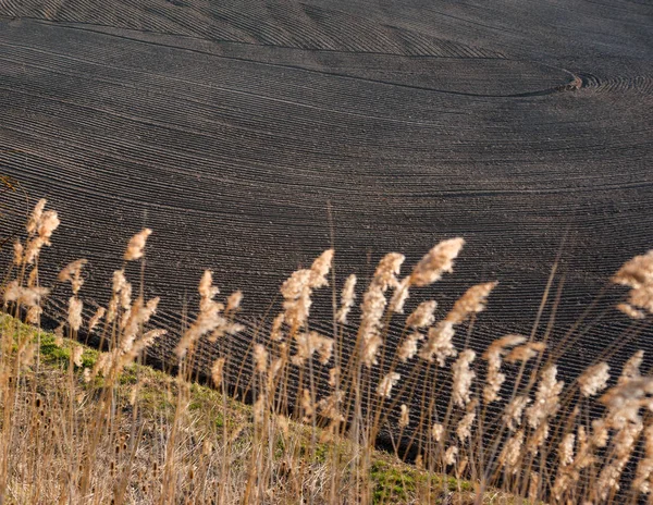 Muster auf Ackerboden auf dem Feld in der Nähe des Rohrs im zeitigen Frühjahr — Stockfoto