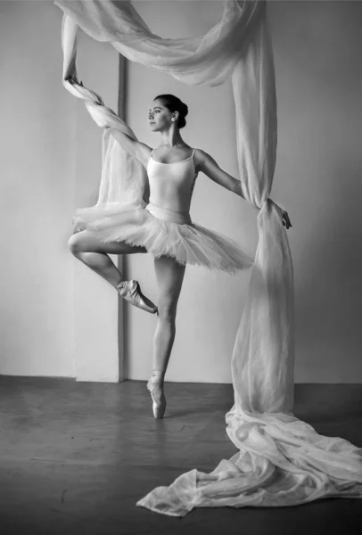 Молодая красивая балерина позирует в студии — стоковое фото