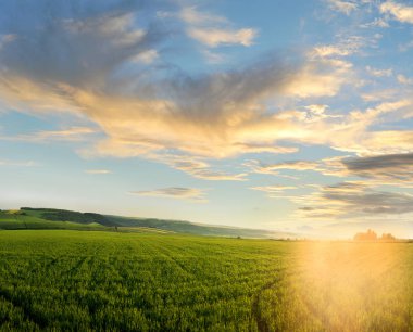 uzay ile akşam bulutlu gökyüzünde yeşil çim alan