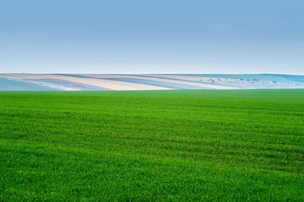 Nevoeiro matutino com vista panorâmica de belos campos agronômicos — Fotografia de Stock