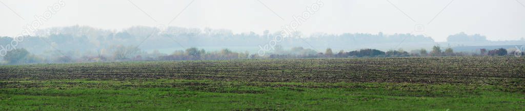 Panoramic view of village from the field, fog, autumn