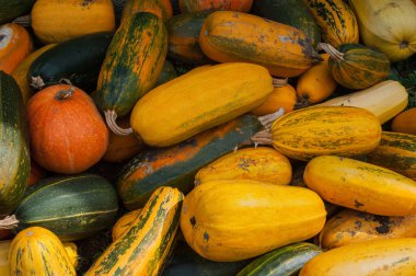 balkabağı deseni, sonbahar hasat, arka plan, üst görünüm