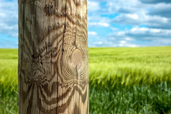 Wooden Textured Post Pillar Farm Field Background Place Advertisement — Stock Photo, Image