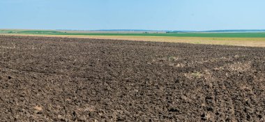 Ukrayna 'daki güzel kara toprak alanları. Tarım arazisi, renkli tepeler..