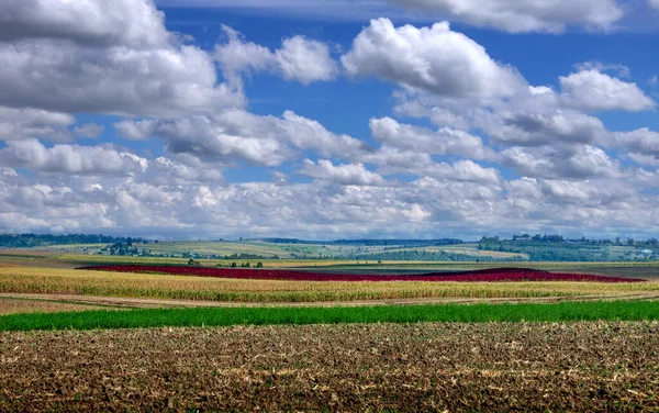 Hermosos Campos Tierra Negra Ucrania Paisaje Rural Agrícola Colinas Coloridas — Foto de Stock