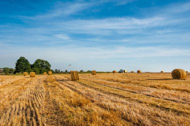 Hasat ve mavi gökyüzünden sonra tarladaki saman balyalarının manzarası