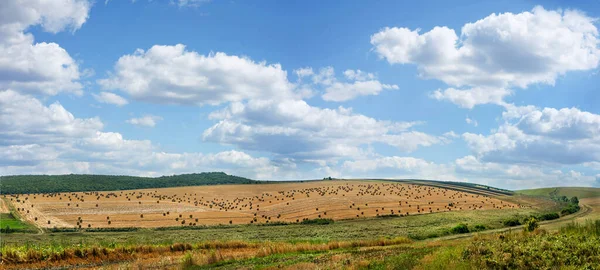 Panoramisch Uitzicht Hooibalen Het Veld Oogst — Stockfoto