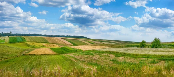 Landschaften Herbst Blick Auf Die Felder Ernte Auf Dem Bauernhof — Stockfoto