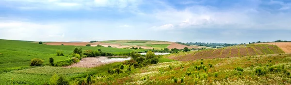 Panoramablick Auf Landwirtschaftliche Flächen Von Oben Malerische Landschaften Mit Himmel — Stockfoto