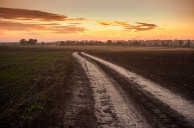 Ufuk çizgisine giden yol, sislerin içinde güneşin ağaçların arkasında battığı yer. Turuncu ve altın tonlarıyla gökyüzü.