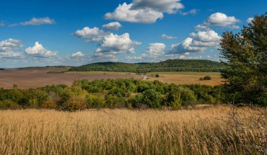 Tarlaların manzarası, sonbahar renklerinde tarıma elverişli kara ormanları mavi gökyüzünün altında bulutlu kuru otlar.